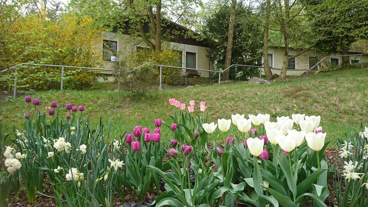 Gaestehaus โคริน ภายนอก รูปภาพ